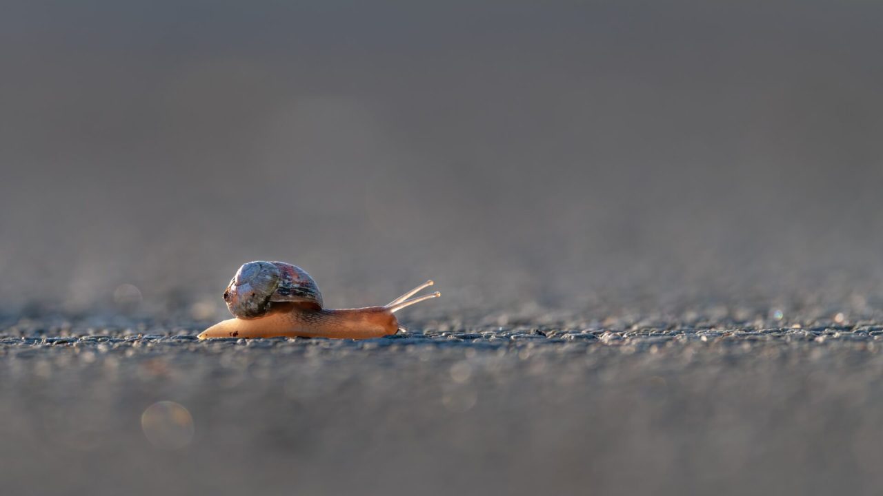 vincent-van-zalinge-dwwGdi3bMrw-unsplash